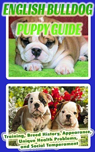 English Bulldog Puppy Training Guide Training Breed History