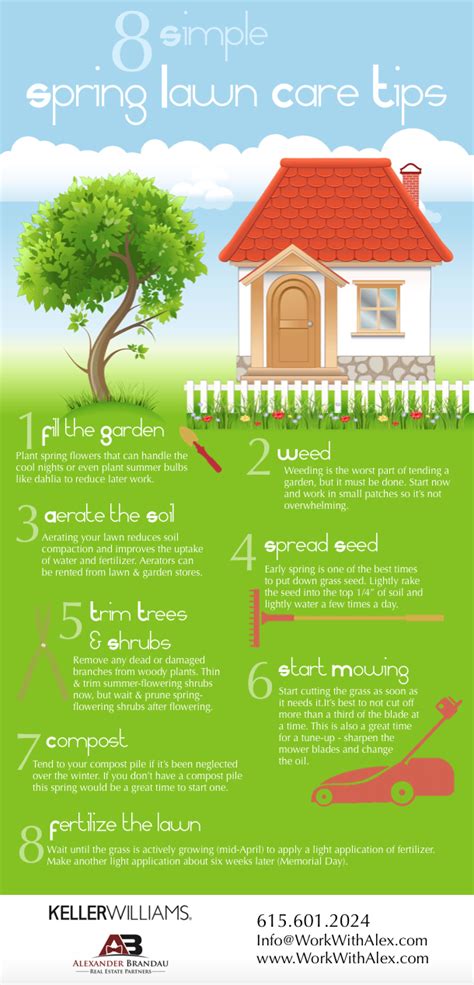 Easy Spring Lawn Care Tips From Alexander Brandau