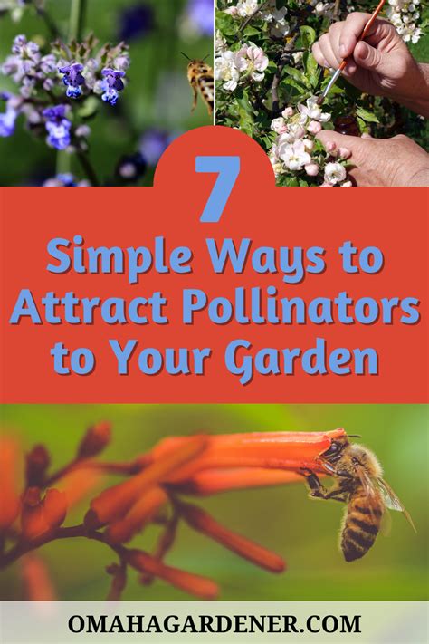 Ensure Healthy Pollination Of Your Garden This Season With These 7