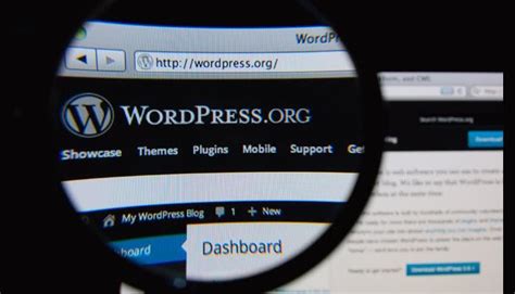 8 Great Plug Ins For Wordpress Development