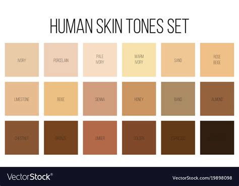 Creative Human Skin Tone Royalty Free Vector Image