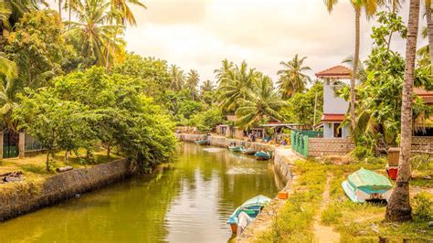 Things To Do In Negombo 10 Best Tours And Activities In 2021 Getyourguide