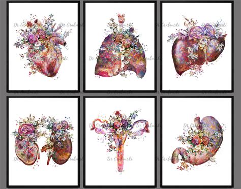 Anatomy Art Floral Internal Organs Medical Art Clinic Wall Etsy