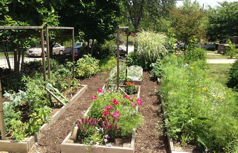 How To Grow A Garden In The Front Yard Front Yard Garden Veggie