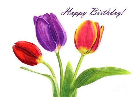 Tulip Trio Happy Birthday Cards Greeting Card For Sale By Sarah