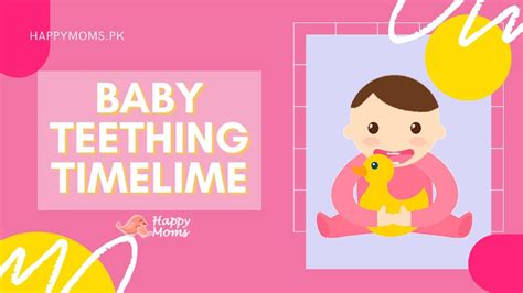 Baby Teething Timeline Teething Chart Happy Moms Youtube