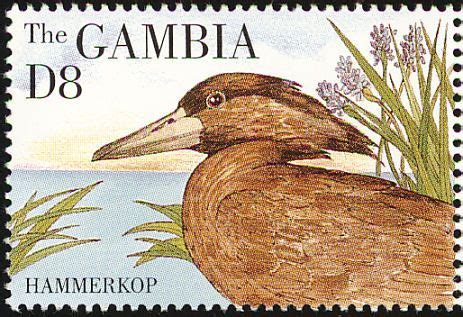 Hamerkop Stamps Mainly Images Gallery Format Stamp Postage