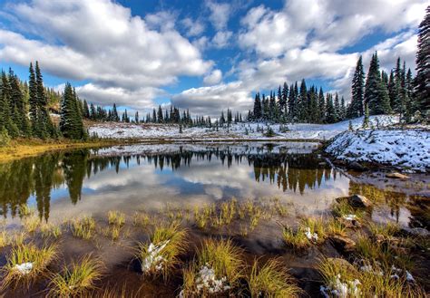 Mt Rainier Mount Rainier Mount Rainier National Park Washington