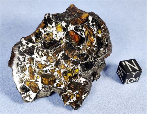 Real Meteorite Seymchan Pallasite Slice Polished Etched Slice T