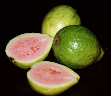 This page is about buah jambu air,contains tanaman jambu air susu,bibit buah bunton malang: Jambu Batu | Flickr - Photo Sharing!