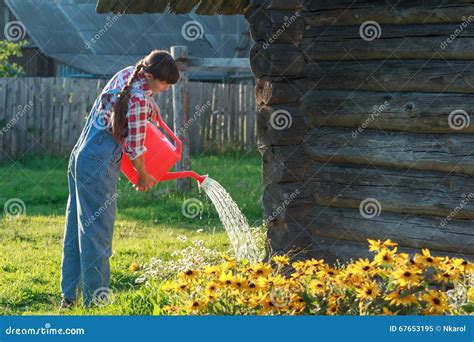 Careful Gardener Pouring Water On Flower Garden Bed With Orange Plastic