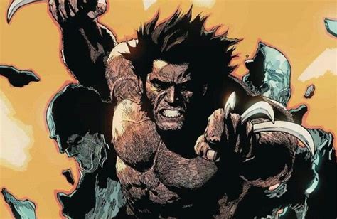 Logan Wolverine X Men Comic Books Batman Marvel Figures Superhero