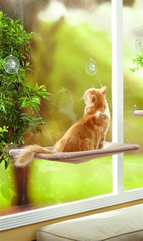 They enable your cat to go out into the enclosure whenever they want via either an open window or a window cat flap, providing an interesting space for your cat to explore, watch out on the world or just chill out and snooze in! Amazon.com : The Original Sunny Seat Window-Mounted Cat ...