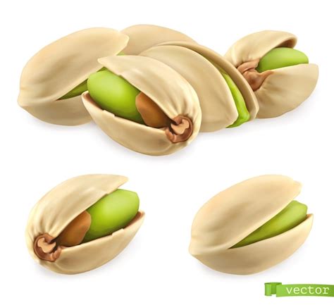 premium vector pistachio nuts realistic illustration