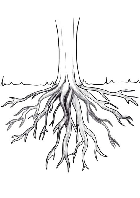 Draw Tree Roots In 10 Easy Steps Artsydee Drawing Painting Craft