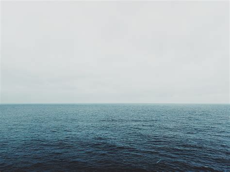 Calm Ocean · Free Stock Photo