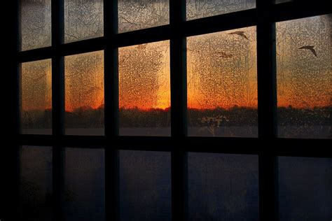 Frosted Window Panes Frosted Window Panes… It S That Time … Flickr