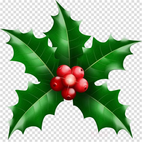 Holly Plant Clipart 10 Free Cliparts Download Images On Clipground 2024