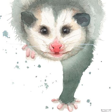 Opossum Art Print Baby Possum Watercolor Print Cute Opossum Etsy