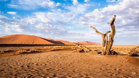 Sossusvlei Namibia Desert 4k Wallpaper Desktop Background Free