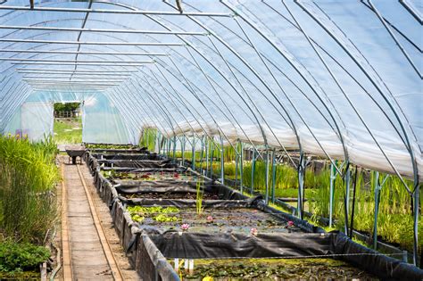 Bringing back your local garden nursery. Help Us Build a New Greenhouse & Community Garden! - The ...