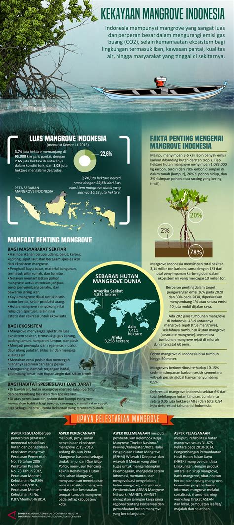 Kekayaan Mangrove Indonesia Infografik Antara News Infografis