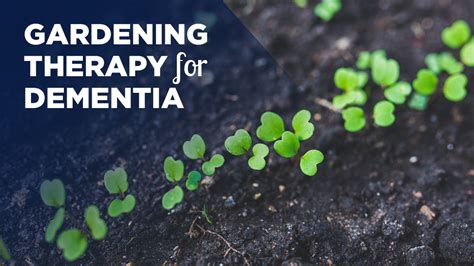 Gardening Therapy For Dementia Alzheimer Society Blog