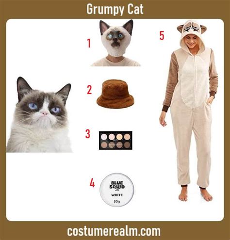 Dress Like Grumpy Cat Costume For Halloween And Halloween