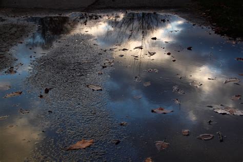 How To Create Amazing Reflection Photos Using Puddles