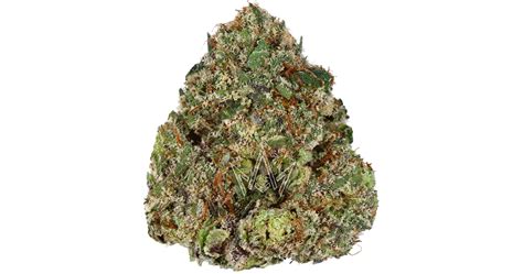 Wonderbrett Agave 35g San Diego Vista And Imperial Cannabis