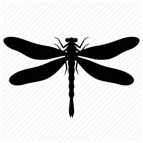 Insectdragonflies And Damsefliesblackdragonflyinvertebrateline