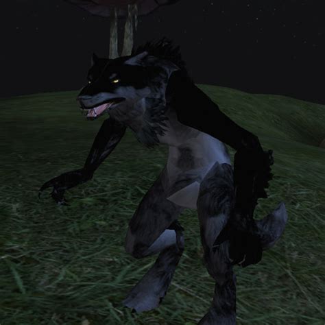 Werewolf Bloodmoon The Elder Scrolls Wiki