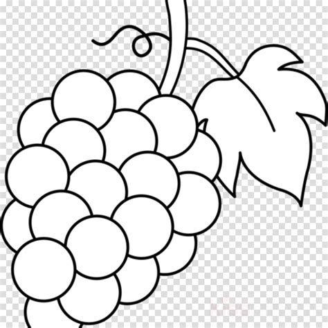 Wine Grapes Drawing At Explore Collection Of Wine