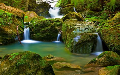 Hd Wallpaper Tropical Pristine Jungle Stream Rock Moss Water Scenics
