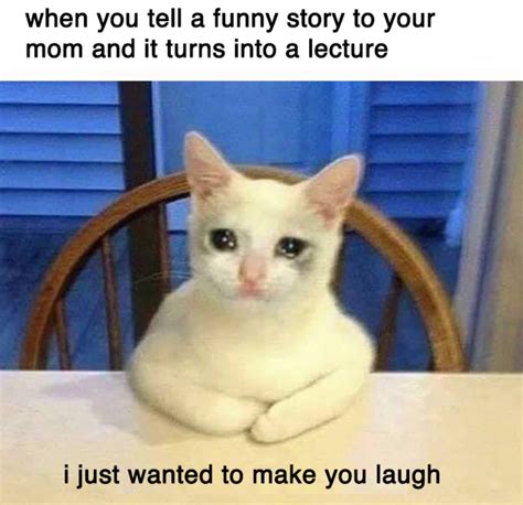 Just Trying To Tell A Funny Story Thanks Crying Cat Know Your Meme