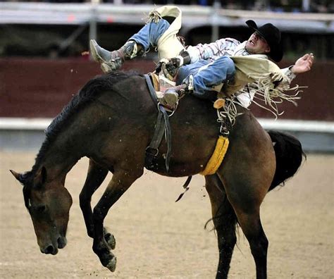 From Bullfighting To Rodeos Culture Shock In Spain Rodeo Cowboys