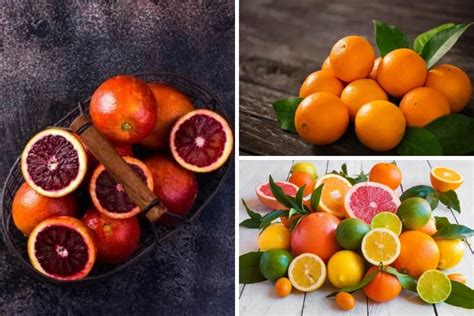 17 Types Of Citrus Fruits 2023
