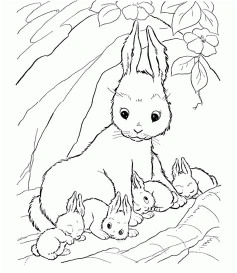 There is no doubt that kids love having pets but sometimes it's not possible. Bunny With Carrot Coloring Page - Coloring Home