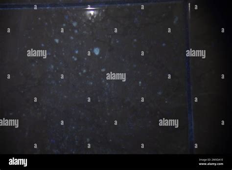 Blood Spatter At The Crime Scene Visualized With Uv Light And Luminol