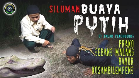 siluman buaya