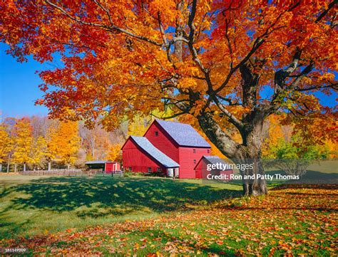 Vermont Autumn With Rustic Barn High Res Stock Photo Getty Images