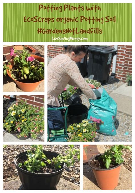 We look at the best soil test kits as well as give you some tips on how to maximize your soil quality. Creating Garden Spaces For Our New Home With Ecoscraps ...