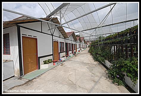 Sh agro highland chalet your best choice to feel the freshness of strawberries in our chalet. mrkumai.blogspot.com: Tips Melawat Cameron Highlands: Agro ...