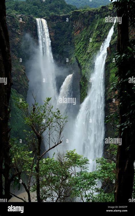 Jog Fallskarnatakaindia Jog Falls Is The Highest Waterfall In India