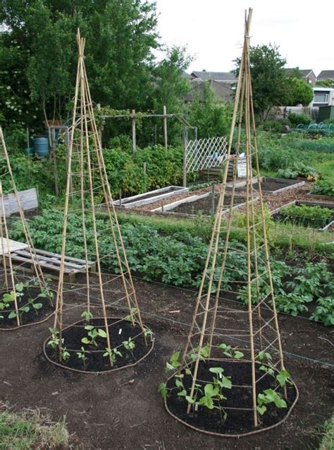 Tall Garden Trellis Ideas On Foter