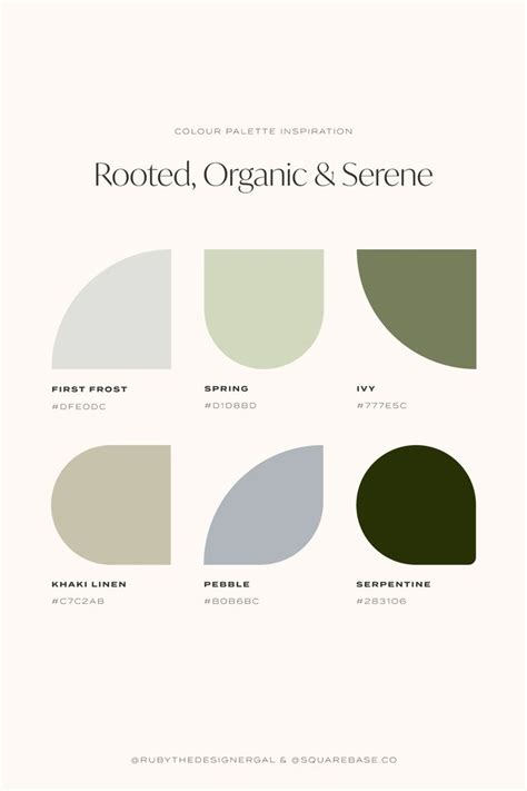 Rooted Organic Serene And Nature Inspired Colour Palette For Your