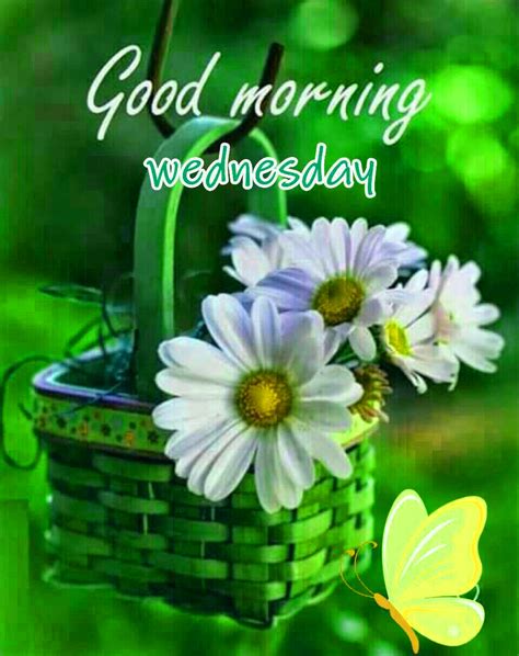 Good Morning Wednesday Images Pictures Download Good Morning Happy