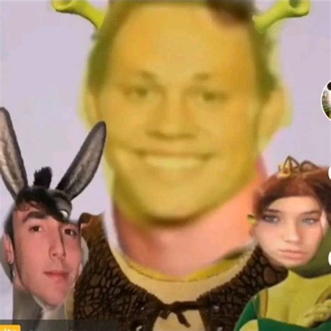 Noah Beck Photo Shrek Version Funny Profile Pictures Really Funny