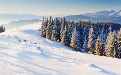 природа зима снег елки деревья горы Winter Snow фон обои