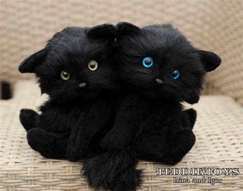 Kitten Black Cat Cat Teddy Teddy Kitten Authors Work Etsy